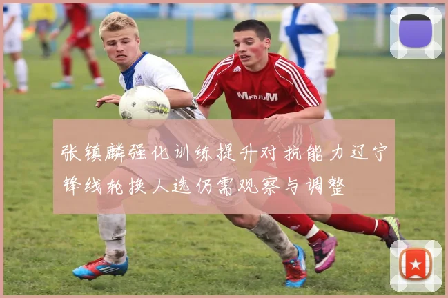 张镇麟强化训练提升对抗能力辽宁锋线轮换人选仍需观察与调整