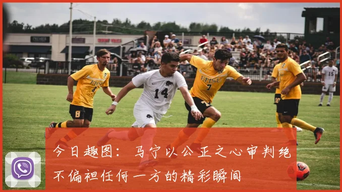 今日趣图：马宁以公正之心审判绝不偏袒任何一方的精彩瞬间