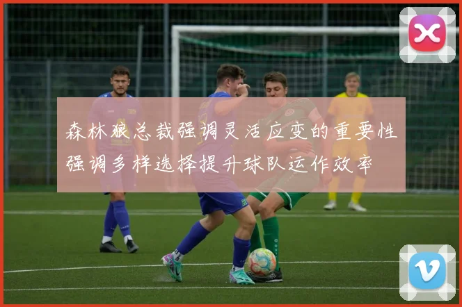 森林狼总裁强调灵活应变的重要性强调多样选择提升球队运作效率